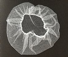 Nylon-Netzhaube